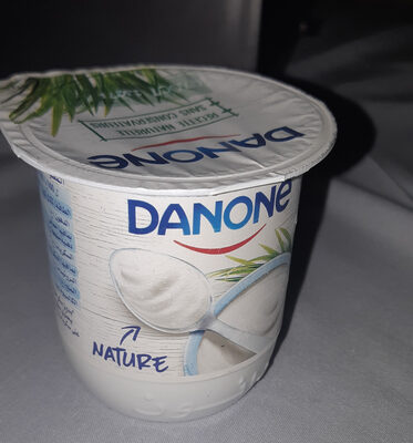 Danone Yaourt Nature x12